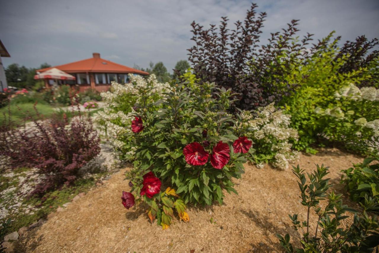 Rezydencja Pod Pieprzowkami Zalesie Gorzyckie Extérieur photo